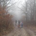img_1201-1